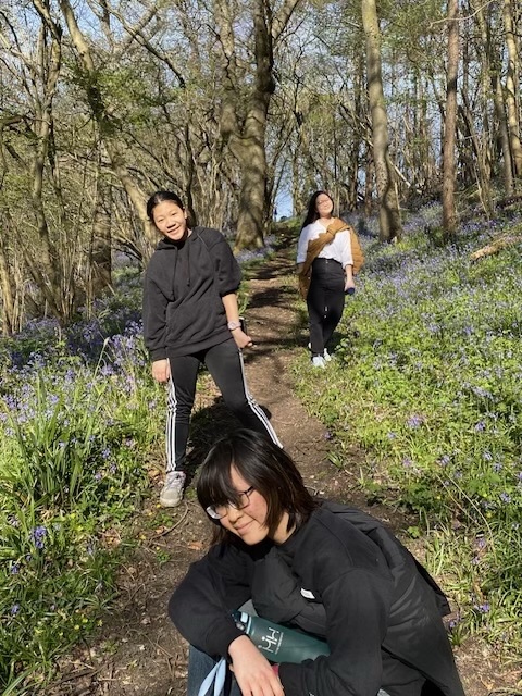 Students in bluebell woods near Sherborne